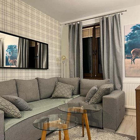 Apartament Dziki Rogacz Szczawnica Dış mekan fotoğraf