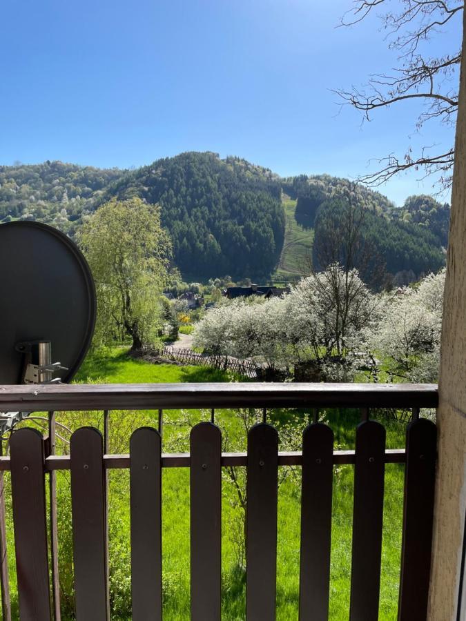 Apartament Dziki Rogacz Szczawnica Dış mekan fotoğraf